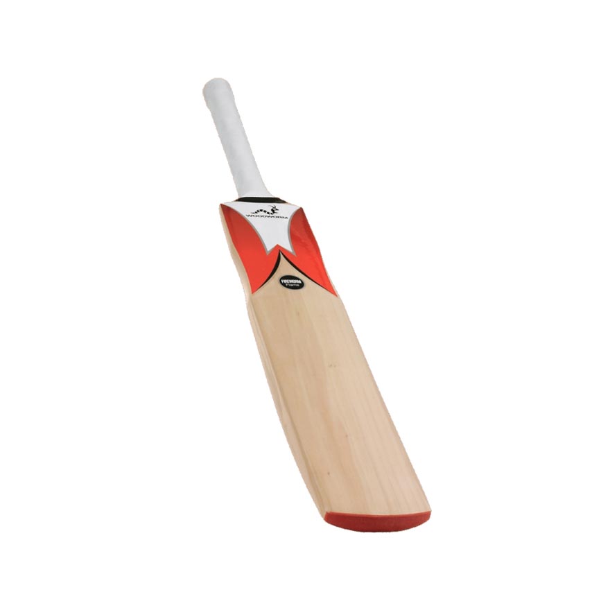 Cricket bat